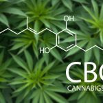 CBG Cannabigerol Molecule